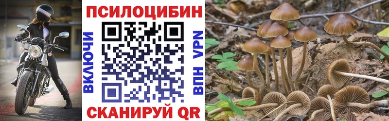 Псилоцибиновые грибы Psilocybine cubensis  Ессентуки 